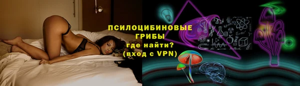 прущие грибы Нея