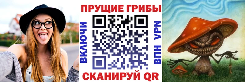 Галлюциногенные грибы MAGIC MUSHROOMS  сколько стоит  Дыгулыбгей 